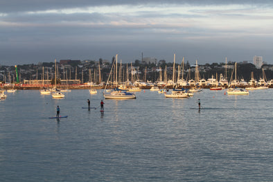 SUP Location Guides - Okahu Bay, Auckland